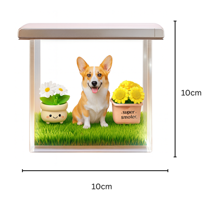 3D HoloPet Box Projector™