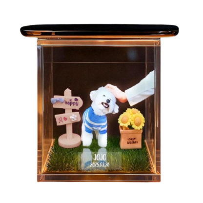 3D HoloPet Box Projector™